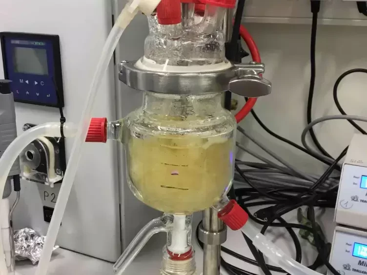 Vegetable Meat Rector